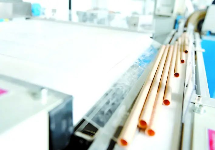 建阳龙竹科技公司研发的、直径8毫米的竹吸管，拥有65项专利，技术达到国际领先水平，产品远销海外。（郑金富 摄）